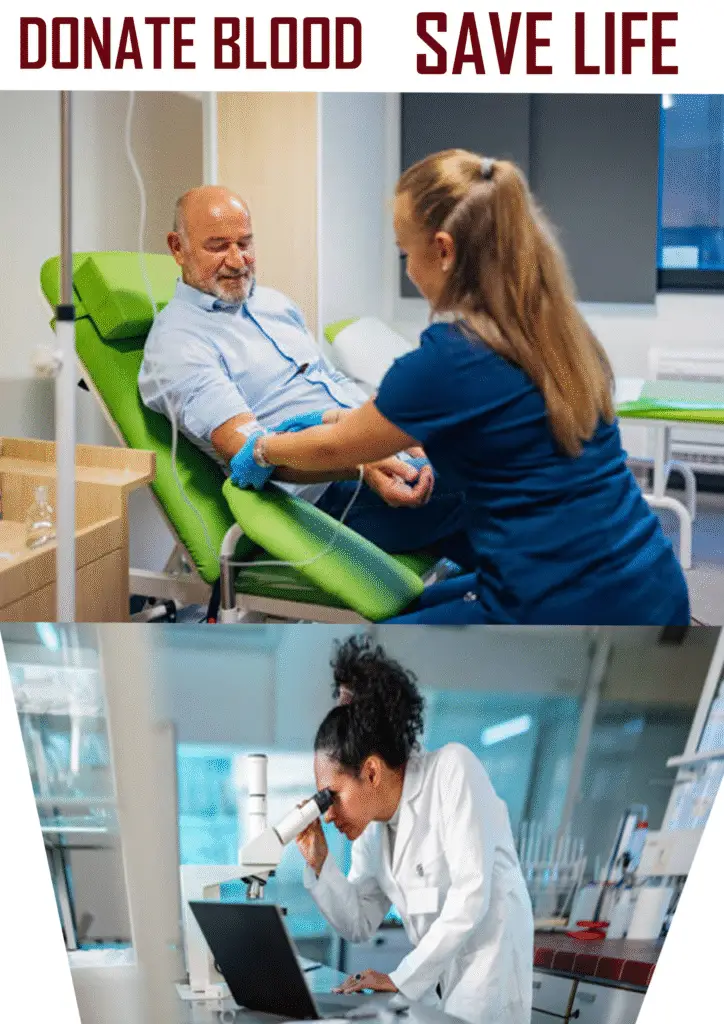 What happens to donated blood?