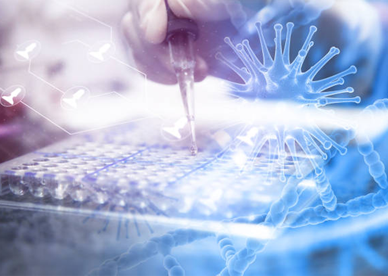 Seroimmunology Practice Exam